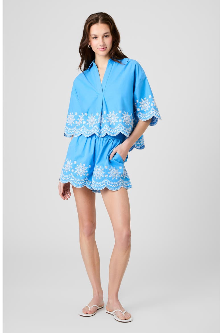 Alissa Embroidered Cotton Top, Alternate, color, POOLSIDE BLUE-WHITE
