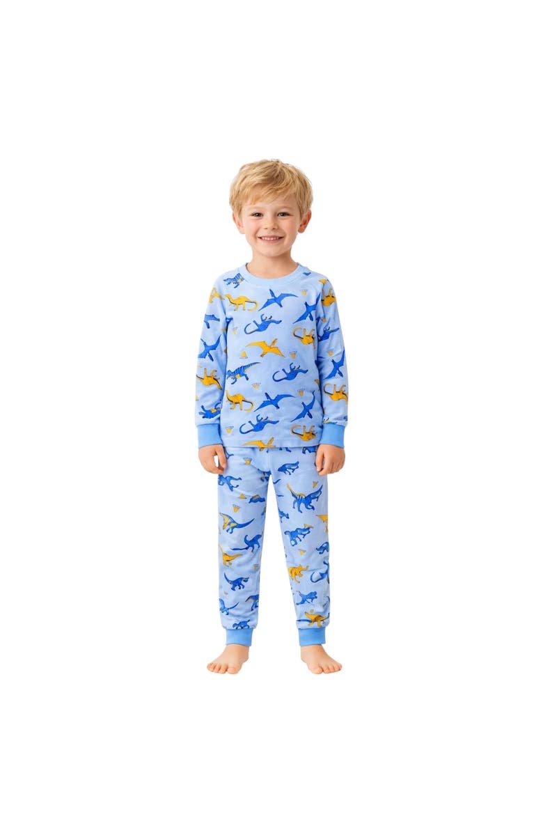 BenBen Boys 3 Pack Long Sleeve Pajamas, Alternate, color, Clear Grey