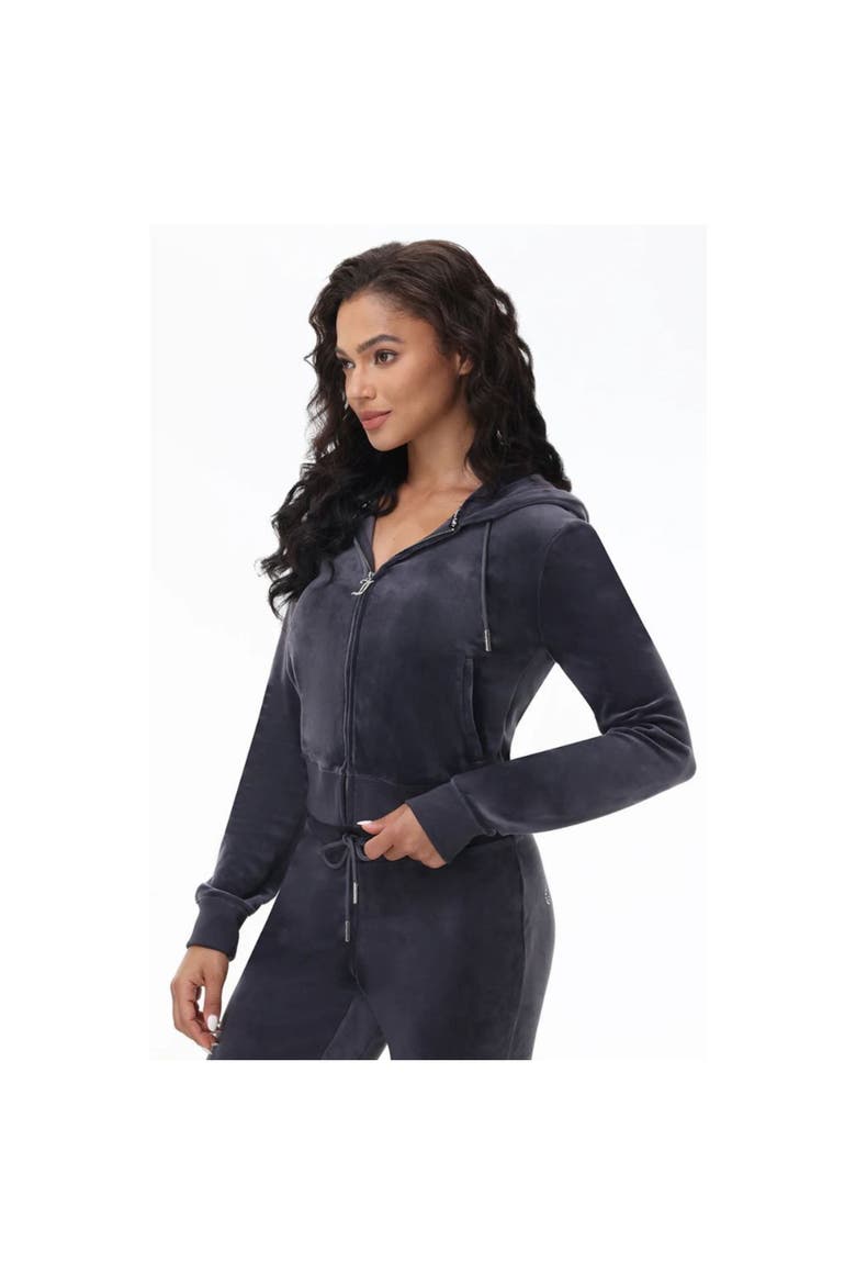 Luxe Velour Soft Chic Hoodie, Titanium, Alternate, color, TITANIUM