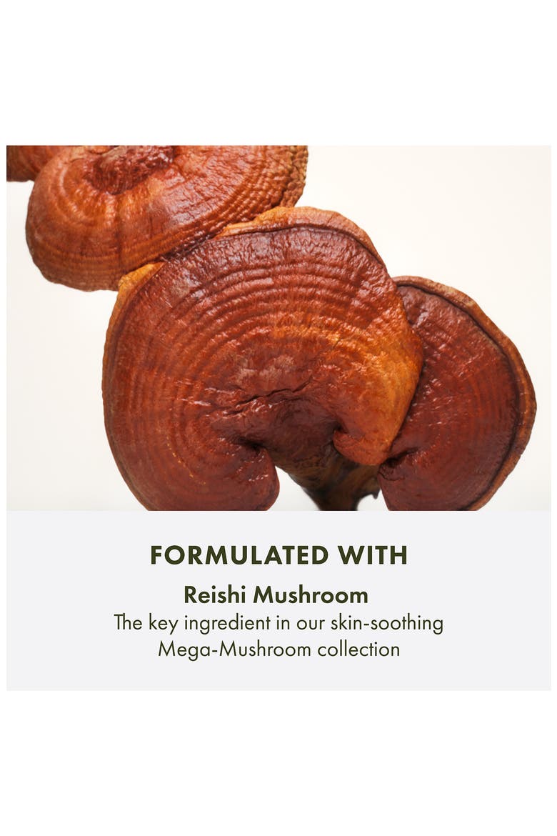 Mega-Mushroom Skin Relief Micellar Cleanser, Alternate, color, NO COLOR