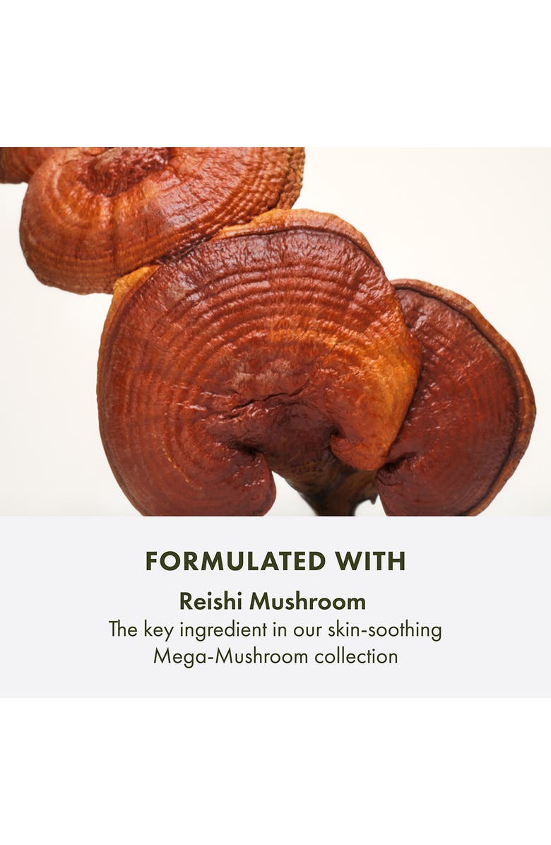 Origins Mega-Mushroom Skin Relief Micellar Cleanser, Alternate, color, 