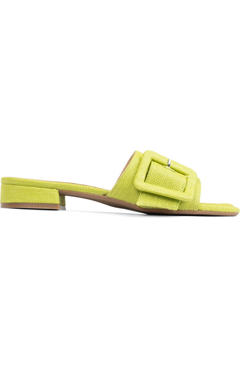 patricia green Bali Slide Sandal, Alternate, color, Lime Green Raffia