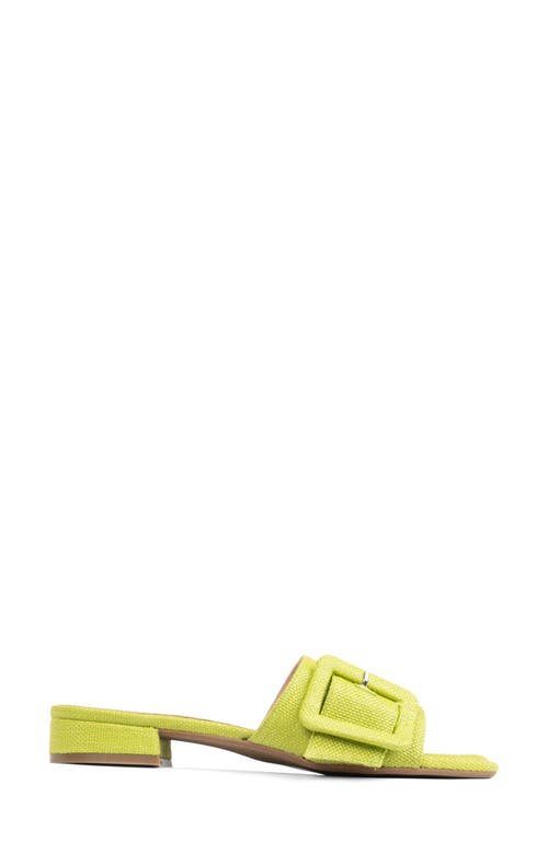 Patricia Green Bali Slide Sandal In Lime Green Raffia