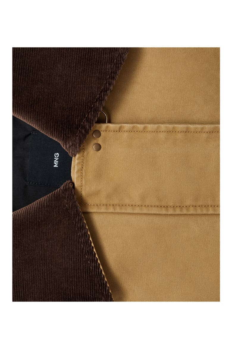 Corduroy Colllar Cotton Canvas Coat, Alternate, color, MEDIUM BROWN