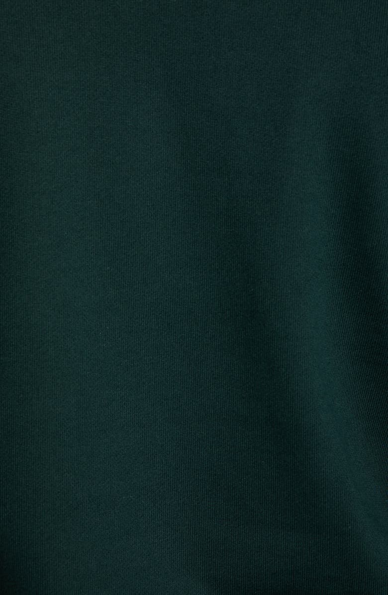 Lacoste 3D Logo Graphic Hooded Sweatshirt, Alternate, color,