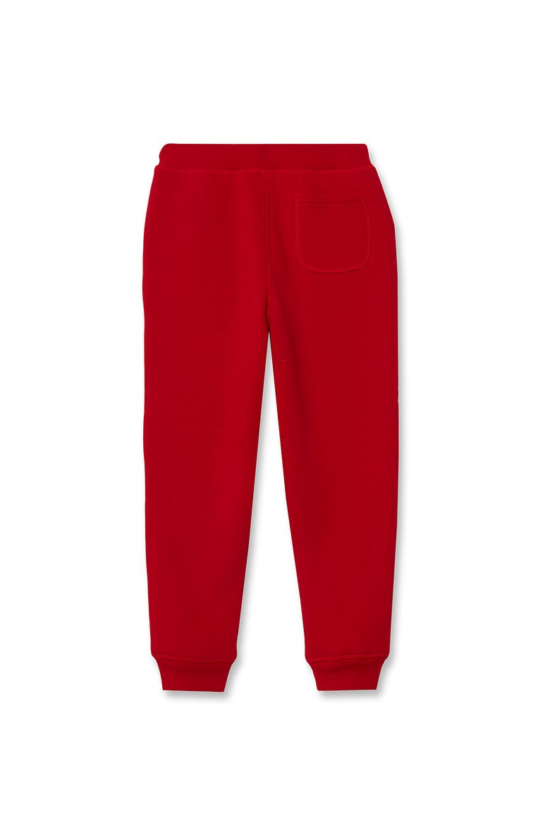 Kids High Pile Fleece Lined Jogger Sweatpants, Alternate, color, Bright Red