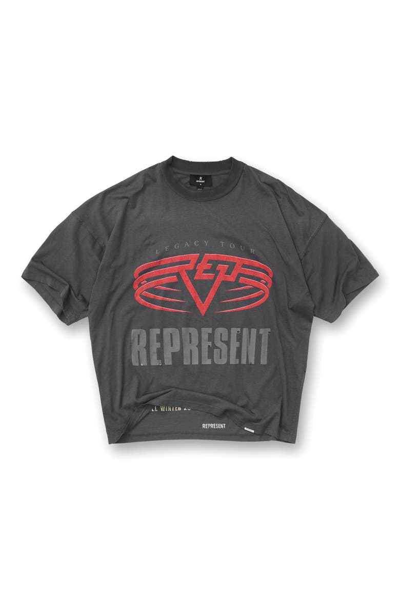 Living Legacy Cotton & Hemp Reversible Graphic T-Shirt, Main, color, SUN FADE GREY