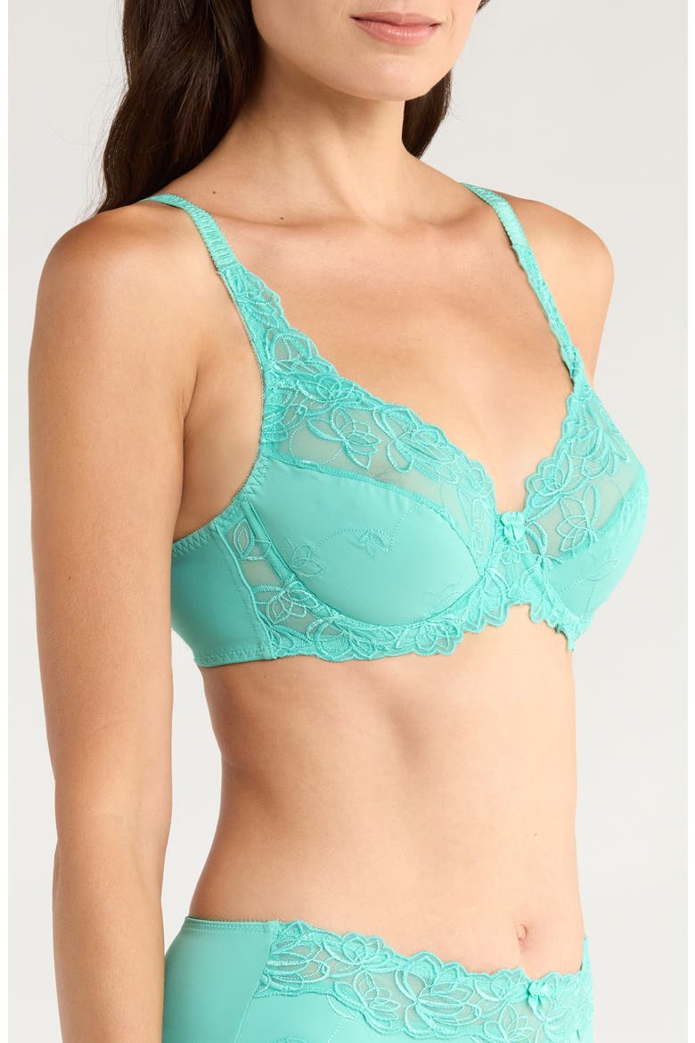 Diva Embrodiered Mesh Underwire Bra, Alternate, color, POOL BLUE