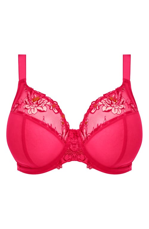 Elomi Plus Size Teagan Underwire Plunge Full Coverage Bra
