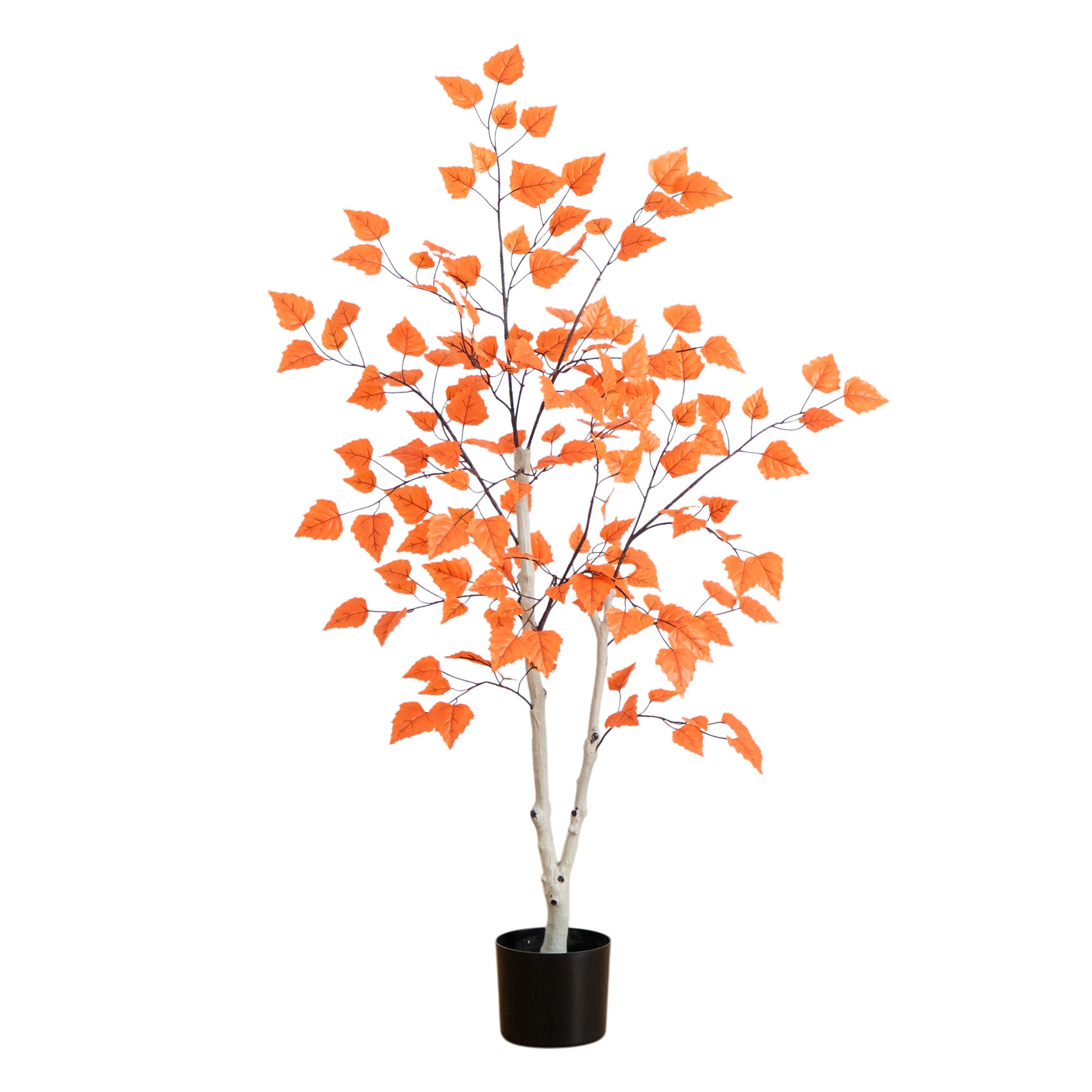 selected Orange