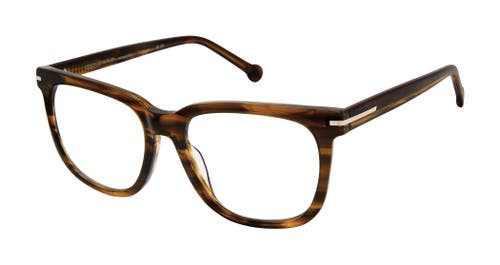 Colors In Optics Cameron Reading Glasses In Brown