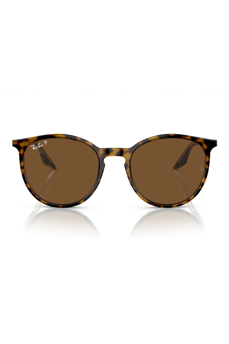 54mm Polarized Round Phantos Sunglasses, Main, color, BROWN