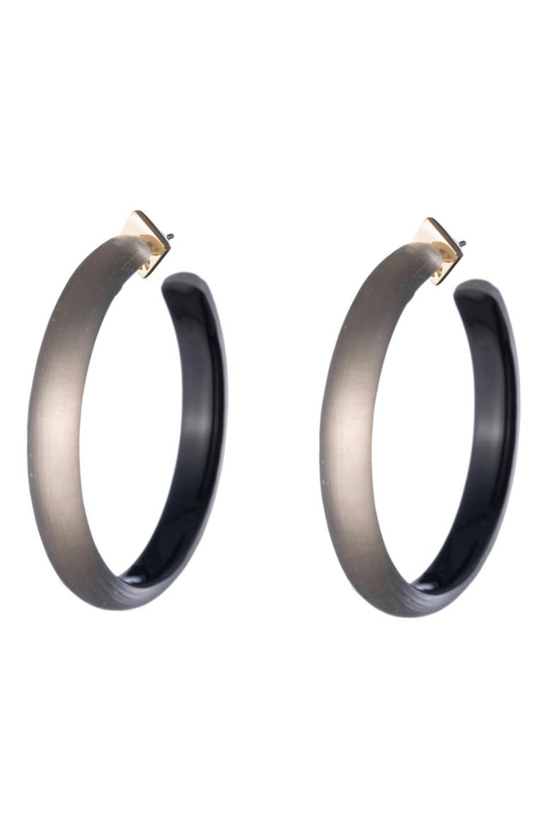 Large Lucite® Hoop Earrings, Main, color, WARM GREY