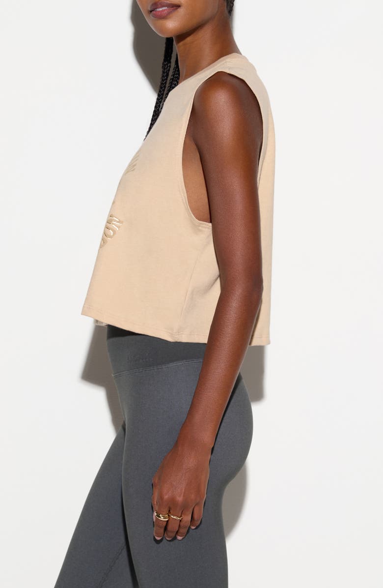 Spiritual Gangster Rise Spirit Graphic Crop Tank, Alternate, color, Palo Santo