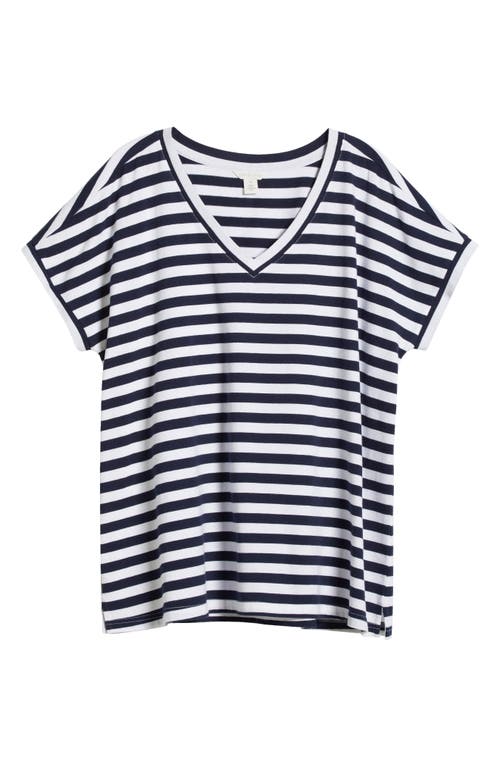CASLON CASLON® STRIPE V-NECK COTTON T-SHIRT