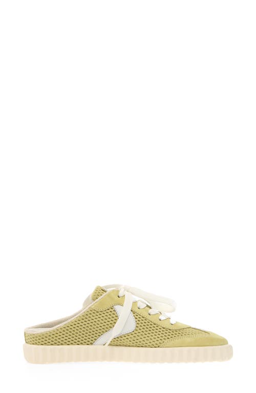 VOILE BLANCHE VOILE BLANCHE INES MULE