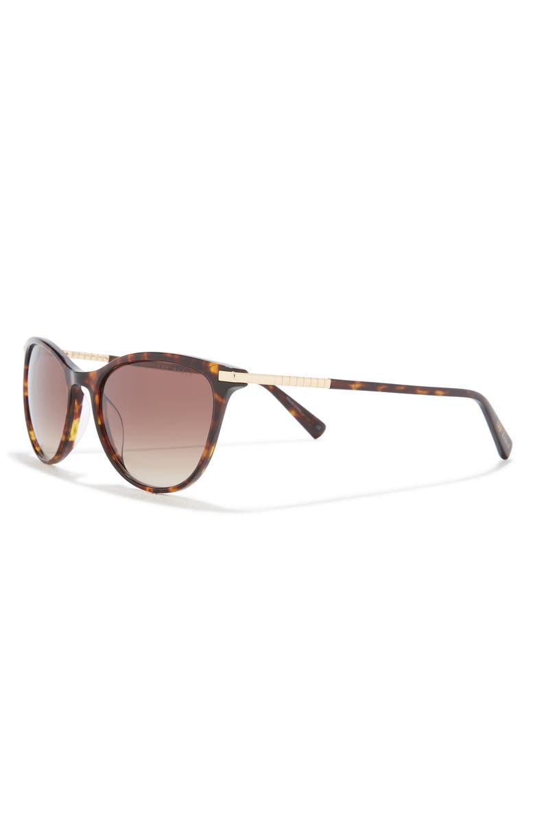 Ted Baker London 55mm Full Rim Modified Round Sunglasses, Alternate, color, Tortoise