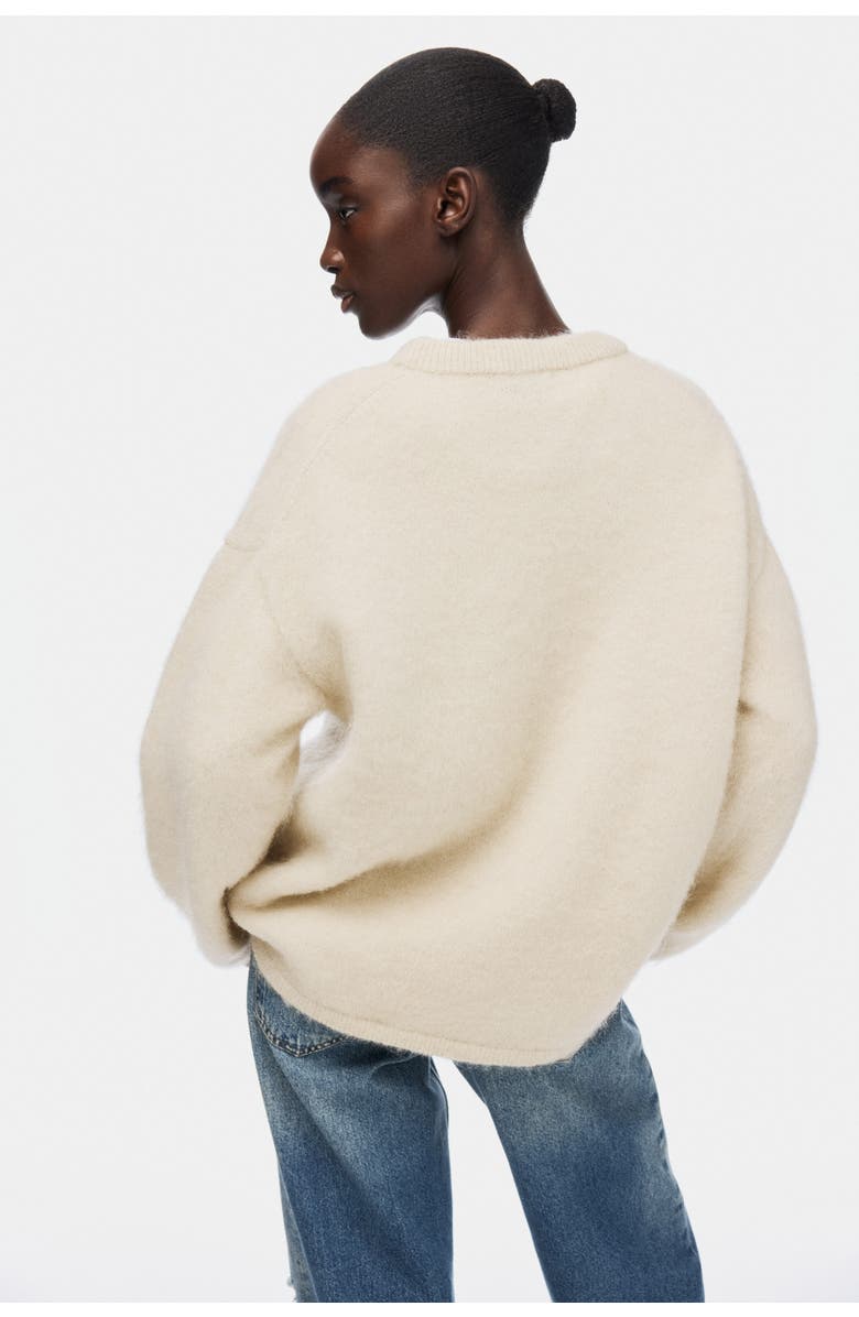 H&M Oversized Mohair-blend Jumper, Alternate, color, Light Beige