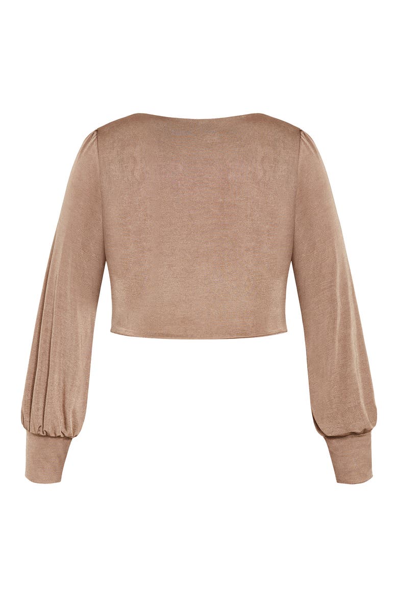 Maren Long Sleeve Lace-Up Crop Top, Alternate, color, MOCHA