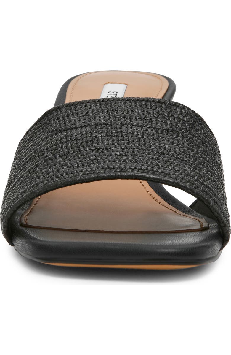 Steve Madden Frolic Slide Sandal, Alternate, color, Black Raffia