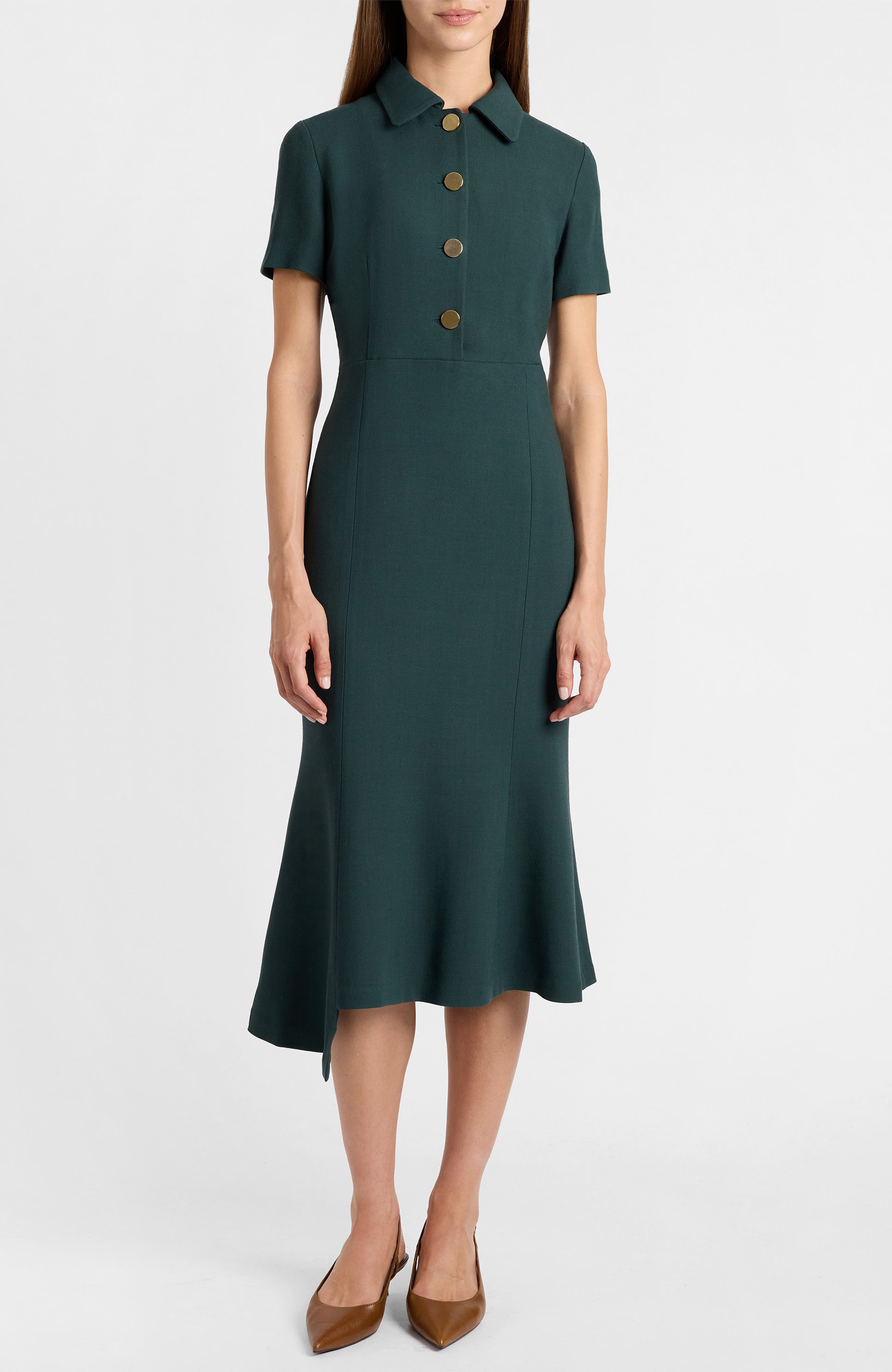 selected Evergreen