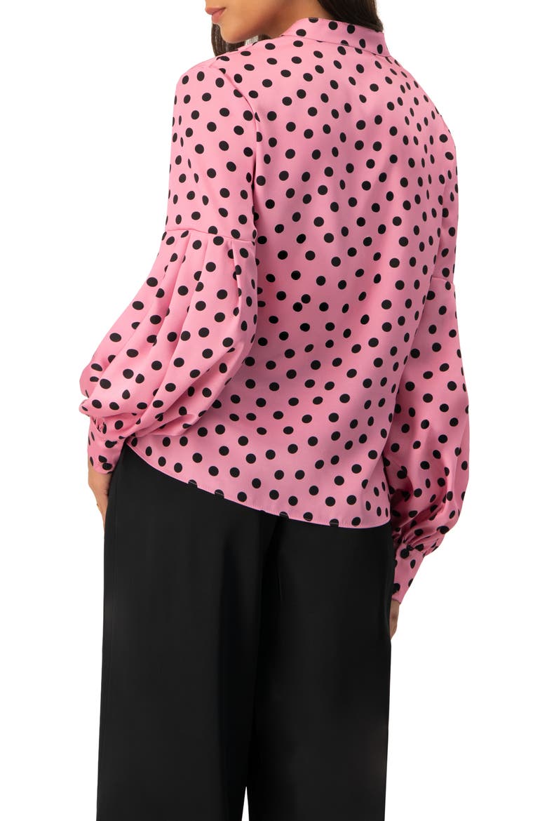 Long Sleeve Polka Dot Blouse, Alternate, color, Pink