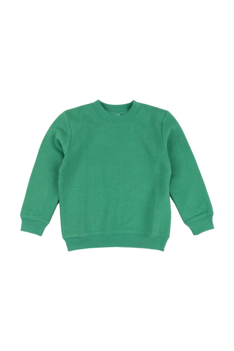 Kids Pullover Sweatshirt, Long Sleeve, Solid Colors, Alternate, color, GREEN