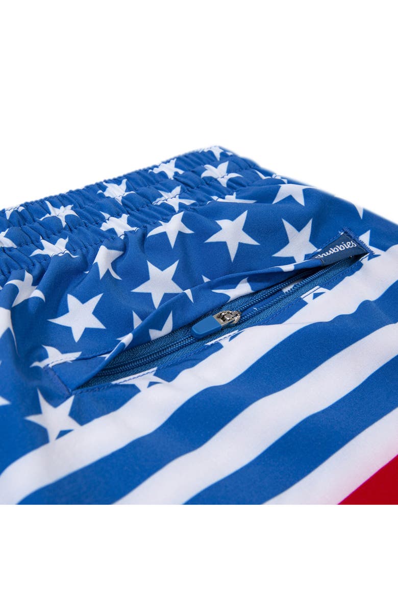 Chubbies The Backyard BBQs 5.5-Inch Swim Trunks, Alternate, color, 