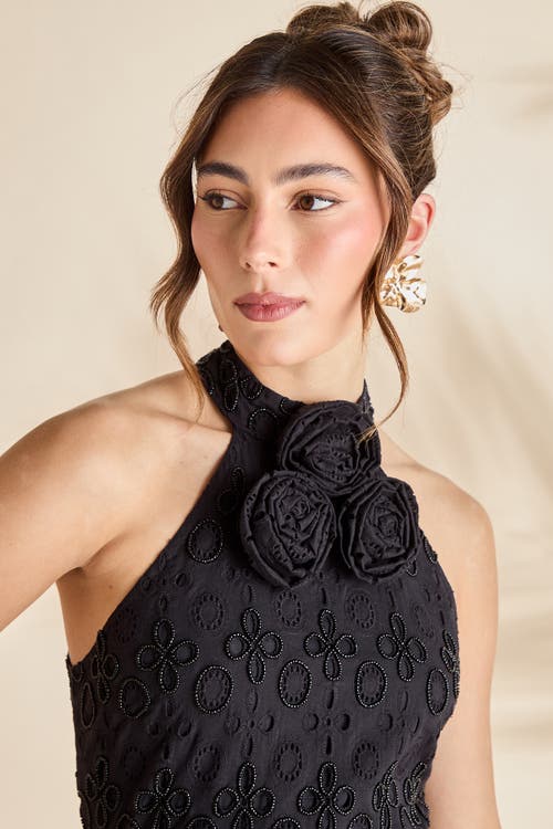 Coast Broderie Embellished Fringe Halter Dress In Black