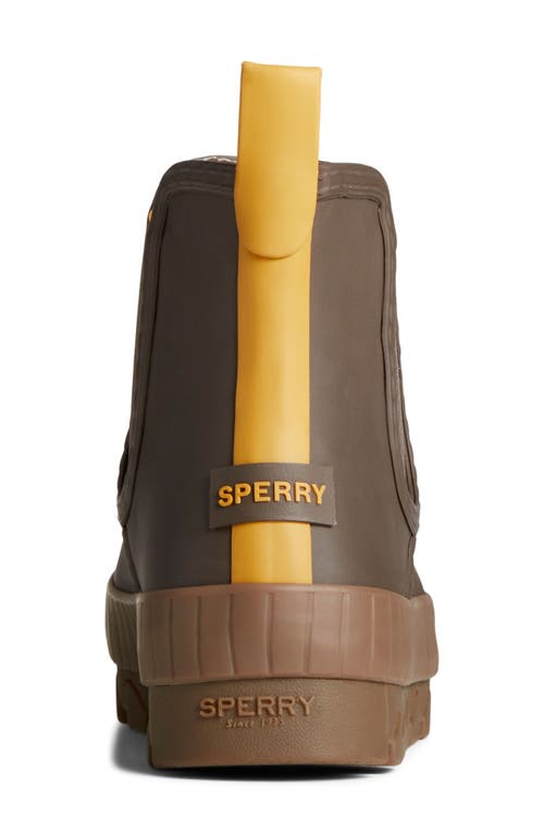 Sperry Torrent Womens Memory Foam Waterproof Chelsea Boots In Brown