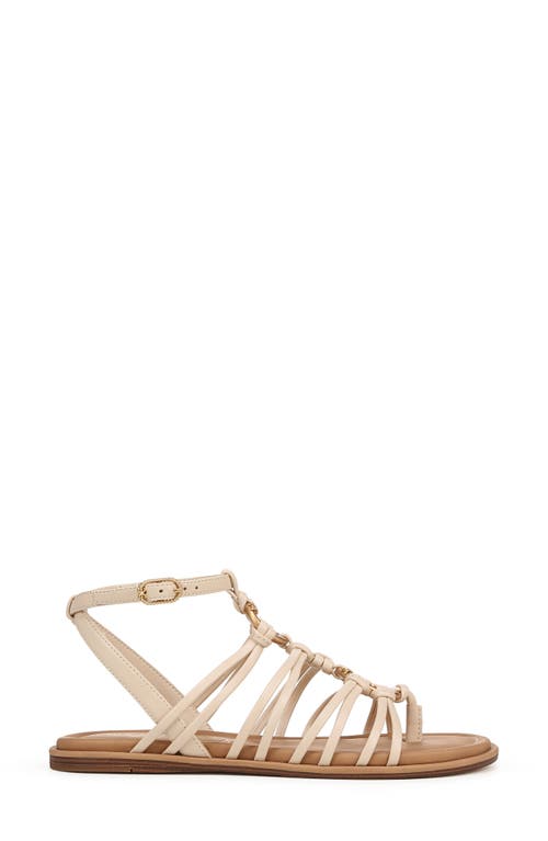 SAM EDELMAN SAM EDELMAN RAYE GLADIATOR SANDAL