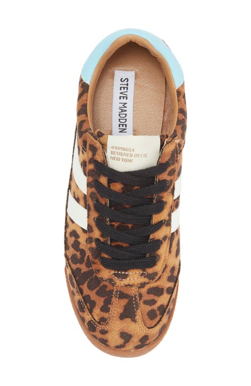 Steve Madden Nirvanna Sneaker In Leopard