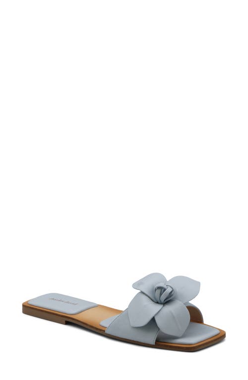 Charles David Ovum Slide Sandal In Pale Blue