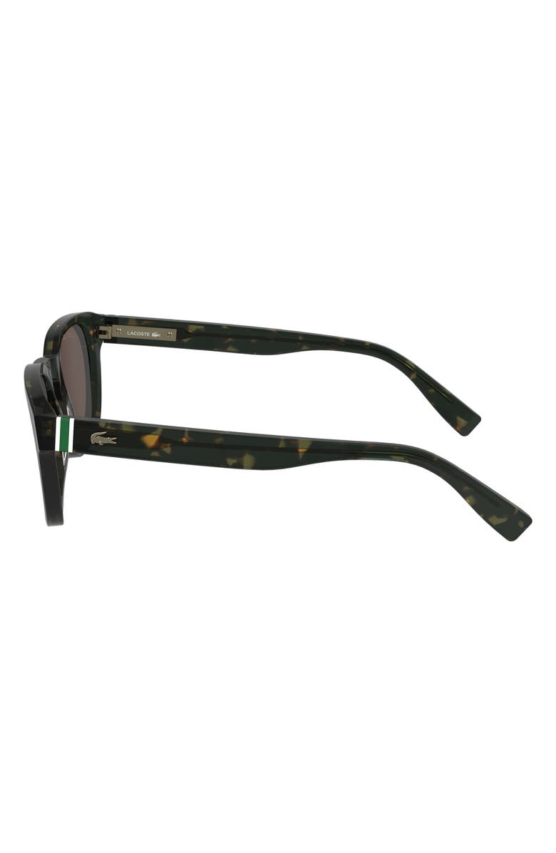 Lacoste Premium Heritage 49mm Rectangular Sunglasses, Alternate, color, Dark Havana