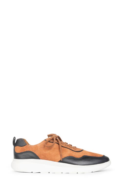 Patricia Green Travel Sneaker In Brown