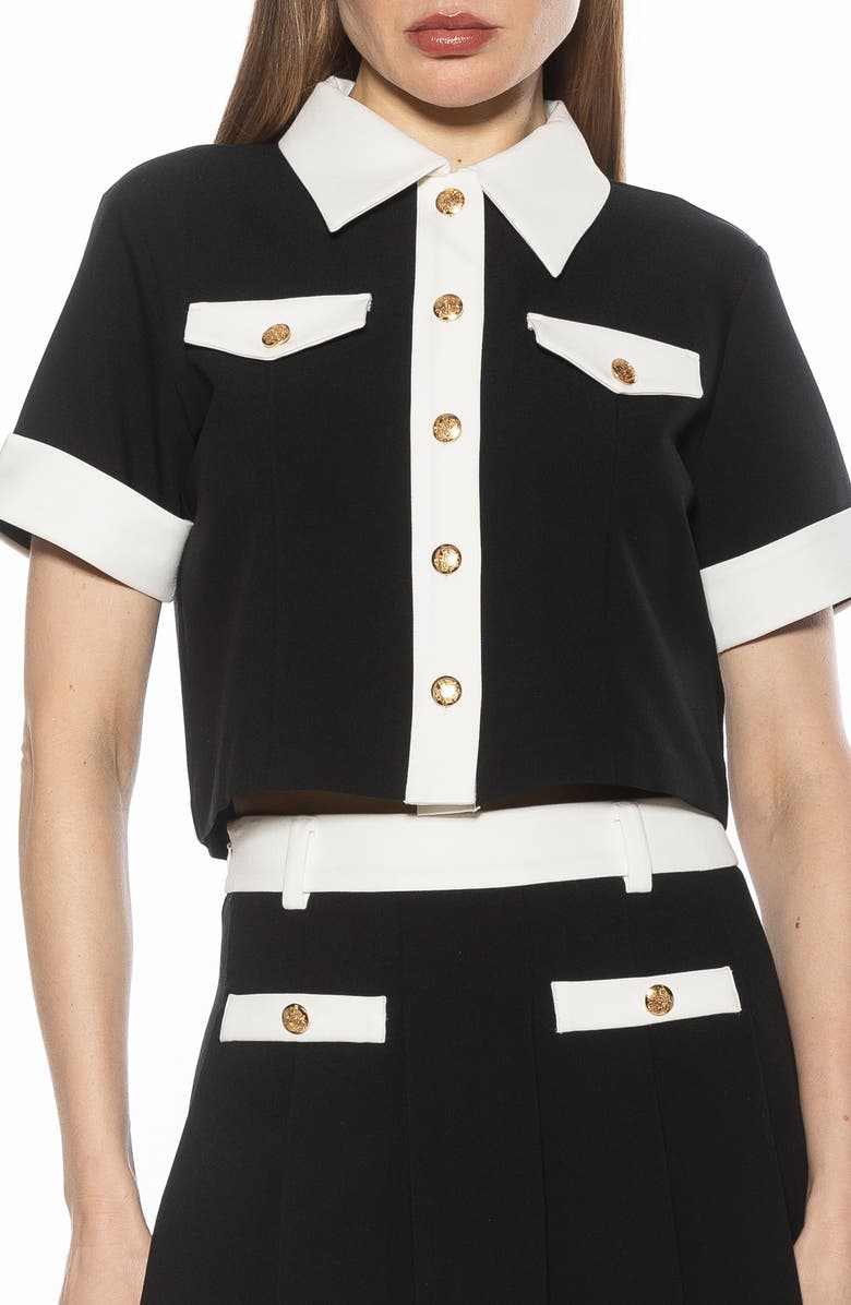 Alexia Admor Emery Collared Button-Up Shirt, Main, color, Black