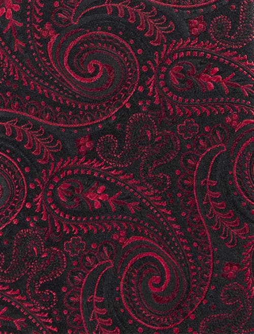 Oak Hill Premium By Dxl Oak Hill Premium Paisley Silk Tie In Burgundy