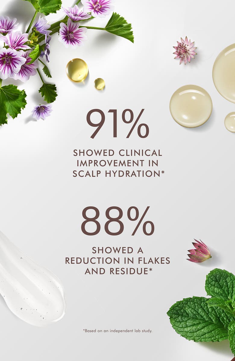 MOROCCANOIL<sup>®</sup> Scalp Balancing Shampoo, Alternate, color, 