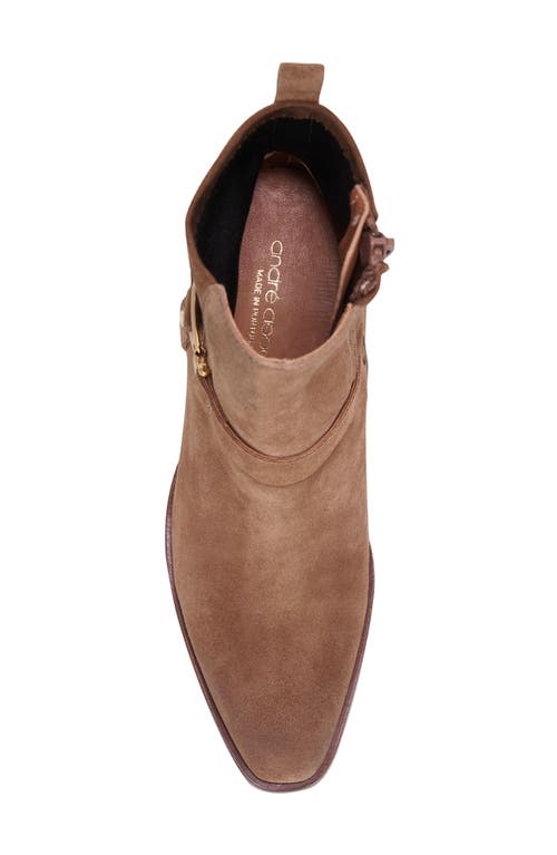 Andre Assous Andres Assous Women's Royal Harness Boots In Caramel Cafe