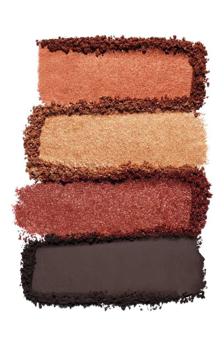 Estée Lauder Pure Color Envy Luxe Refillable Eyeshadow Quad, Alternate, color, Wild Earth