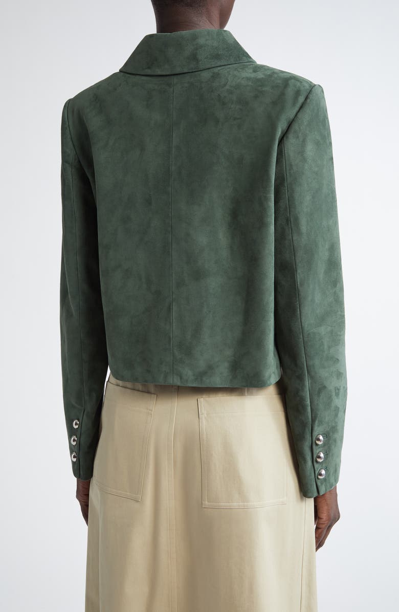 Altuzarra Astley Suede Crop Jacket, Alternate, color, 