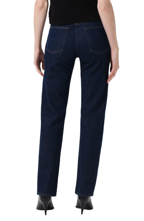 Agolde '90s Pinch Waist High Waist Straight Leg Jeans In Animal Print