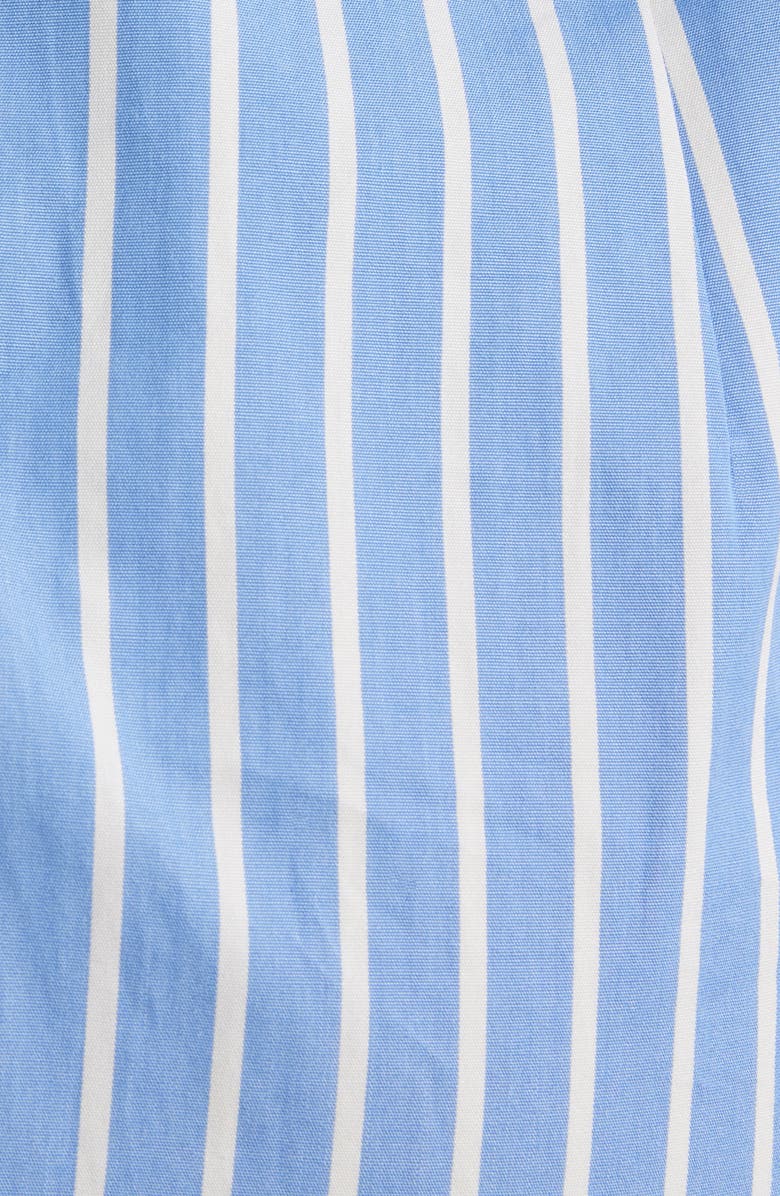 Dries Van Noten Dolada Stripe Long Sleeve Cotton Poplin Midi Shirtdress, Alternate, color, 