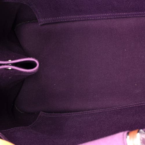 Pre-owned Hermes Hermes Cabag Elan Toile And Leather 39 In Purple