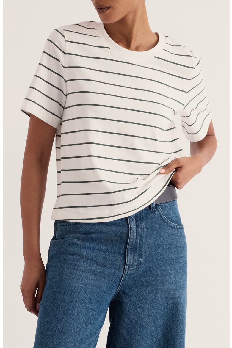 Copseland Striped Organic Cotton T-Shirt, Main, color, CHYANDOUR LIGHT COPPICE