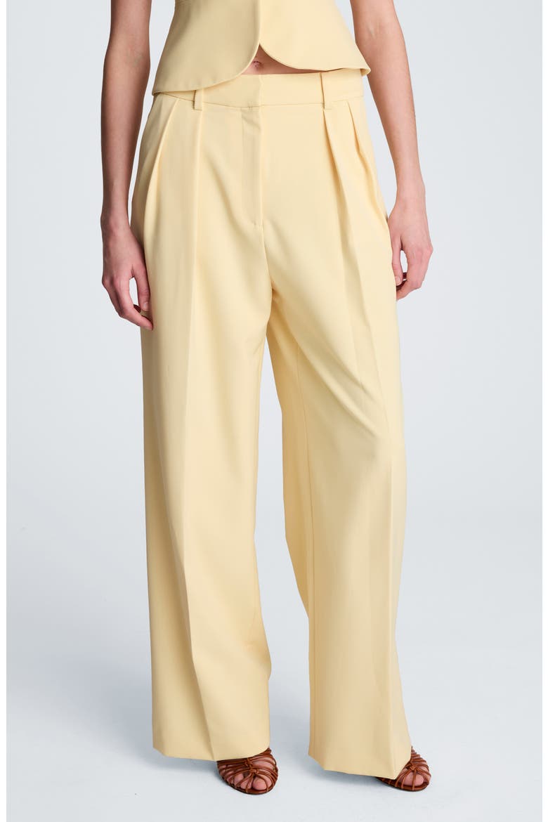 Double Pleat Wide Leg Pants, Main, color, PASTEL YELLOW