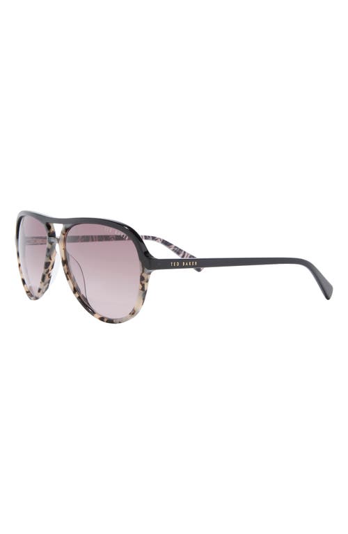 Ted Baker 57mm Gradient Aviator Sunglasses In Purple