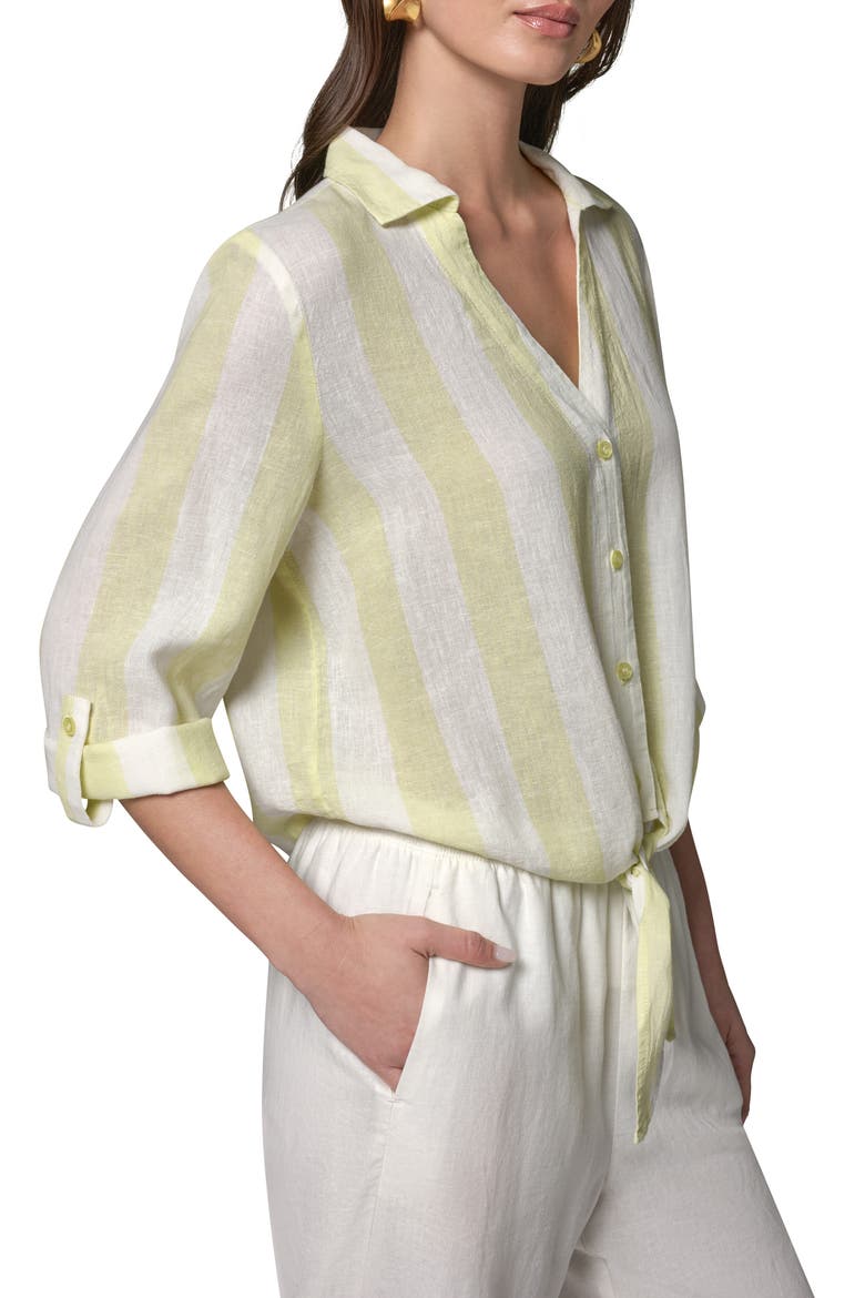 Yarn Dye Stripe Crop Linen Blend Button-Up Shirt, Alternate, color, LIMONCEL/ C