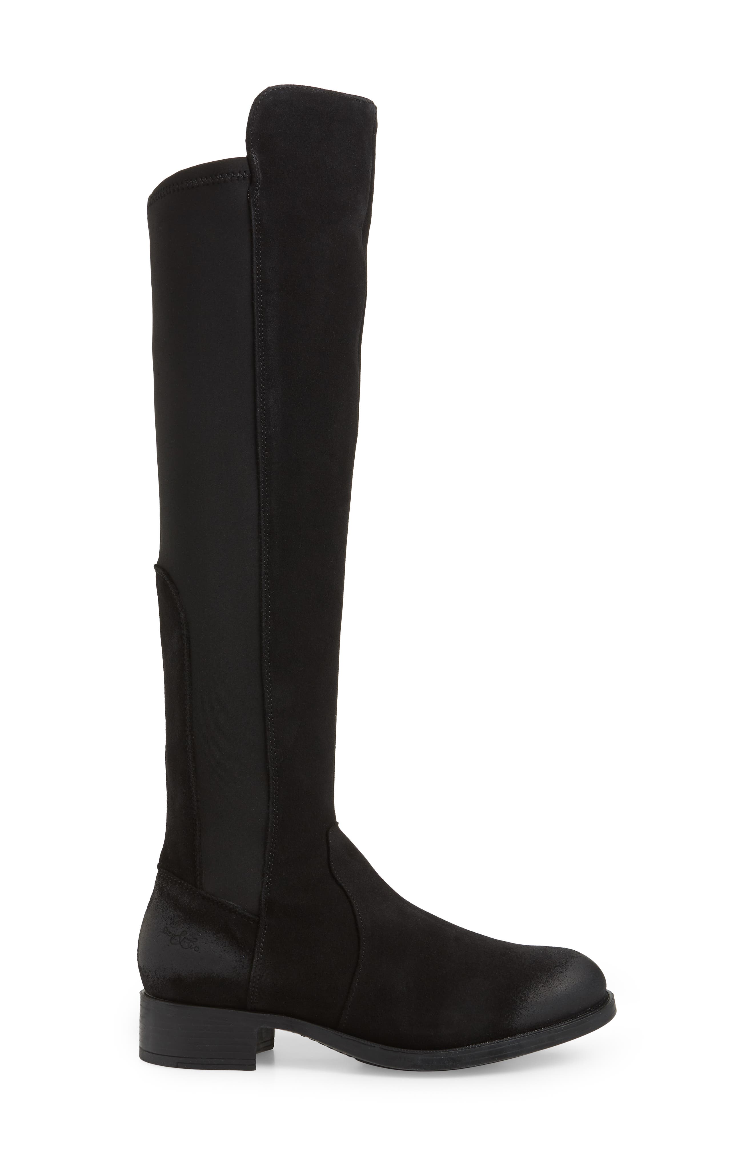 Bos. & Co. Bunt Waterproof Over the Knee Boot, Alternate, color, 