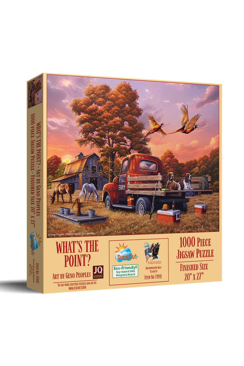 What's the Point 1000 piece Jigsaw Puzzle for Adults, Main, color, Multicolor